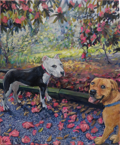 Dogs